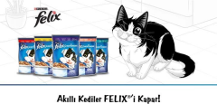 Purına Pro Plan Felix Ton Balıklı 85 gr Yetişkin Kedi Yaş Mama