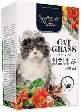 Nature Plan Kedi Çimi 500 ML